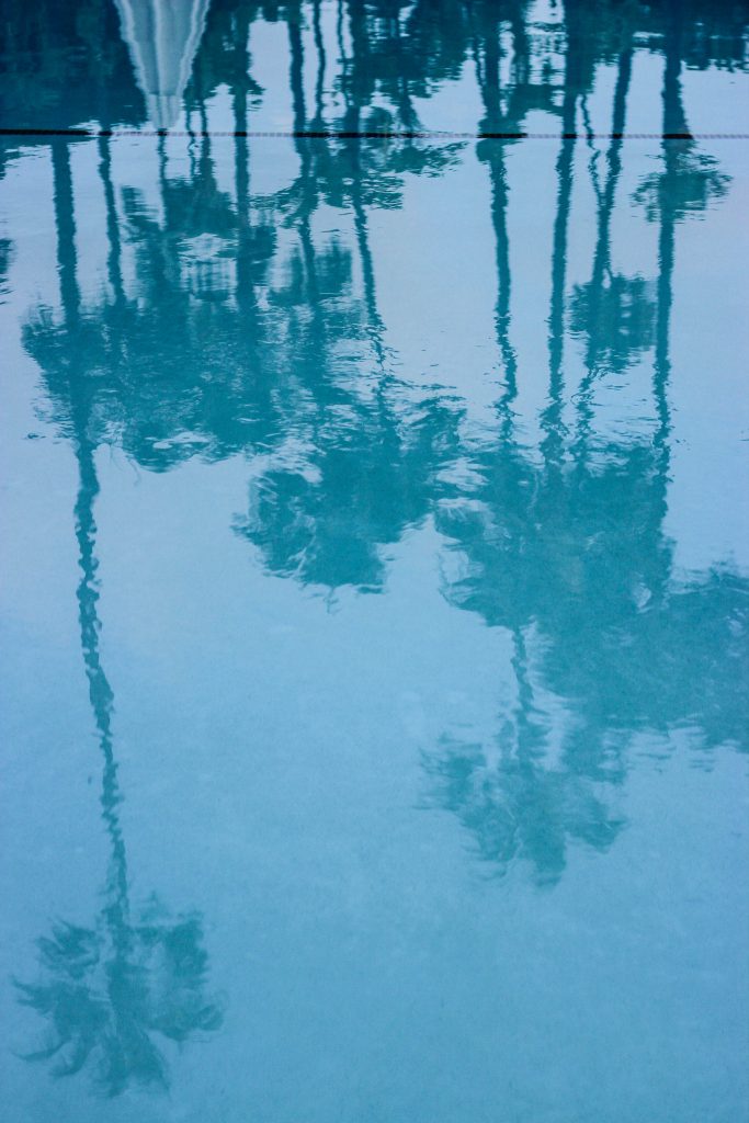 palmtree-beveryhills-pool