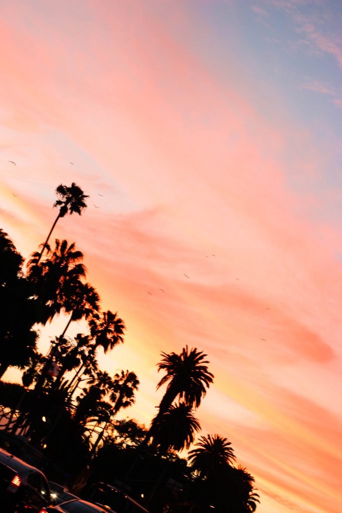 sunset-santamonica-palmtree-street-2